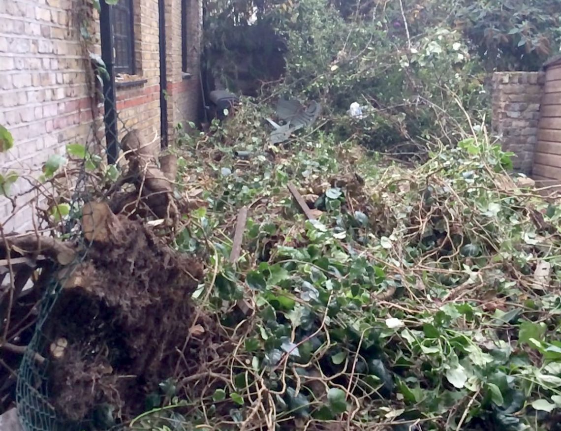 garden-waste-removal-london