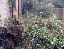 garden-waste-removal-london